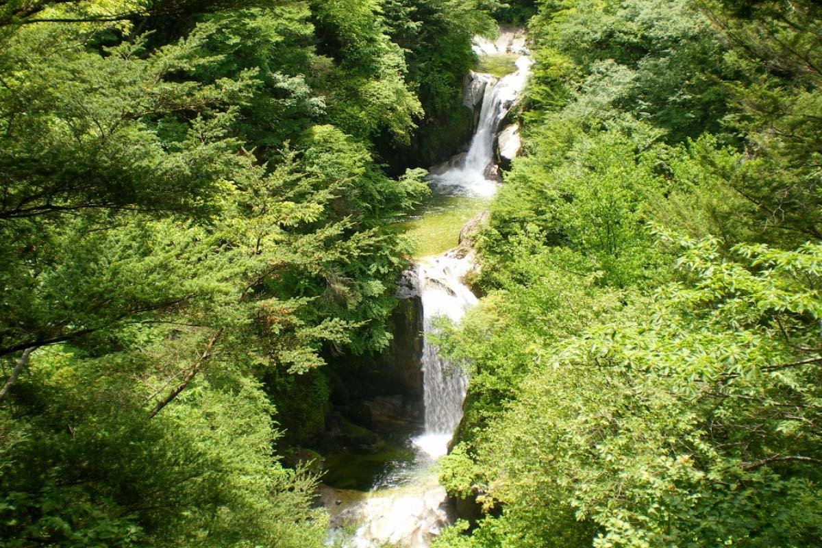 🏞️ 오지라가와 계곡 이미지 3